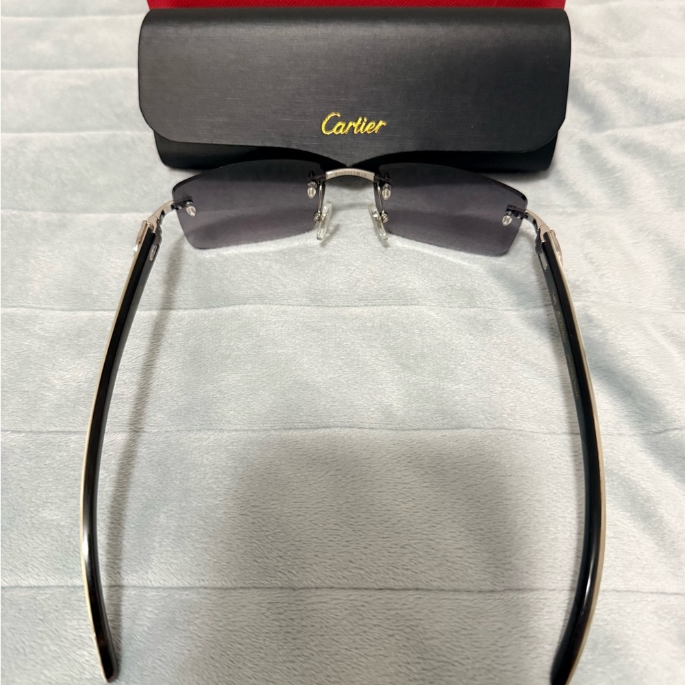 Sunglasses - image 2